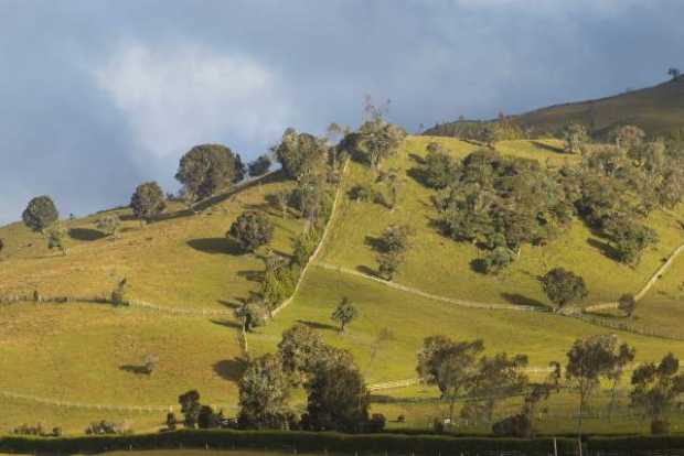 En Alto de Letras, a 3.575 metros sobre el nivel del mar, se avista un paisaje en el que predominan montañas y cultivos de papa