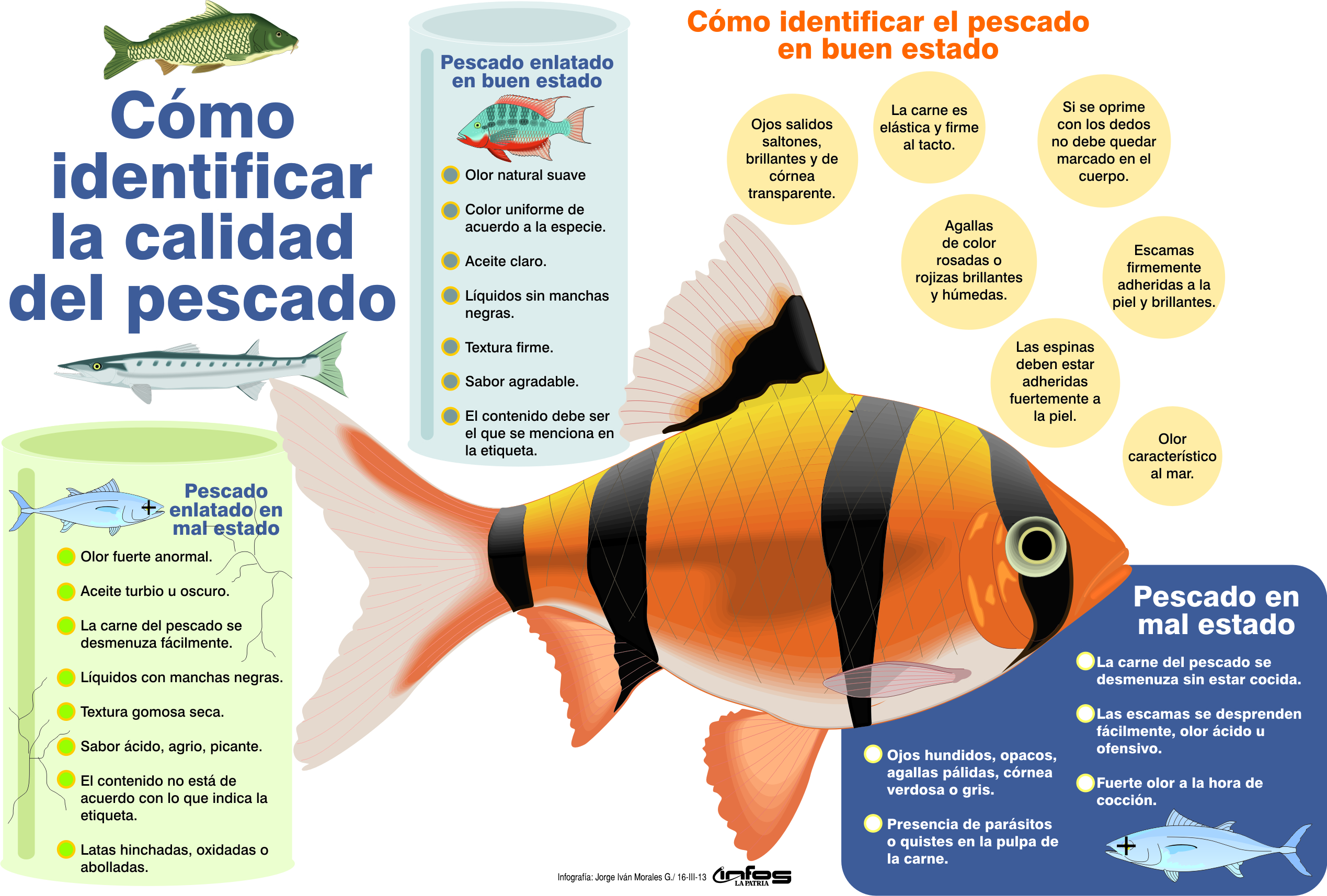 Como reconocer un pescado fresco? - ASPIC Instituto Gastronómico