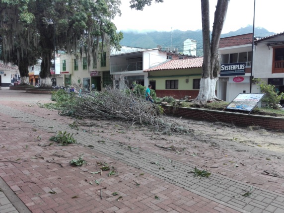 Supiatalaypodadearboles