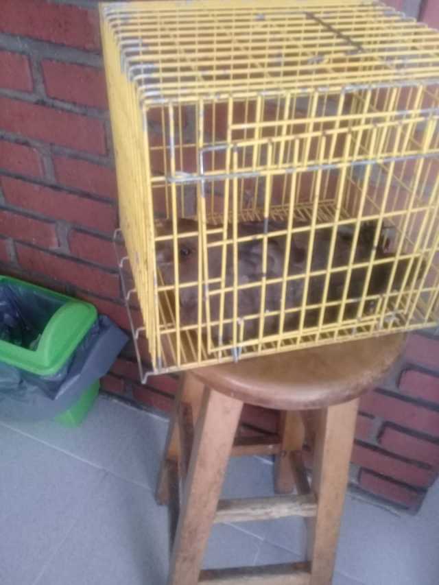 FOTO | Ana Luci Franco | LA PATRIA 