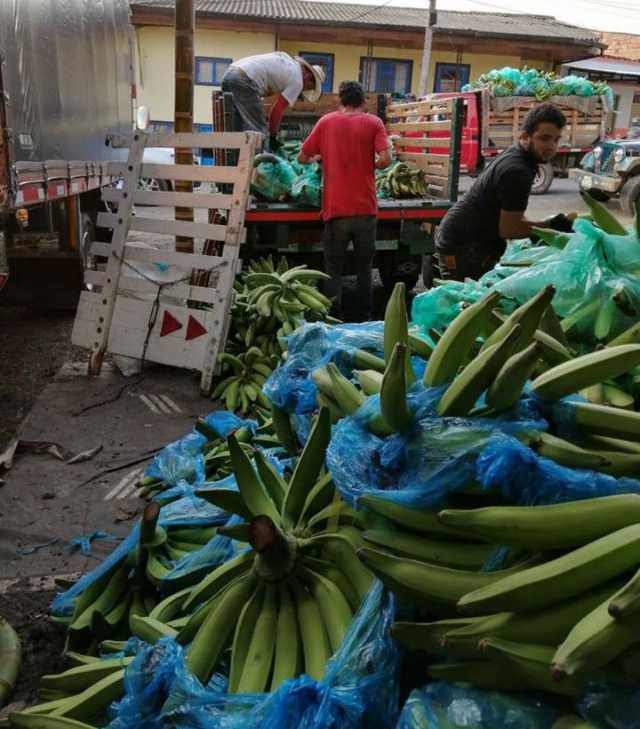 Ansermadonanpartedelaproduccion