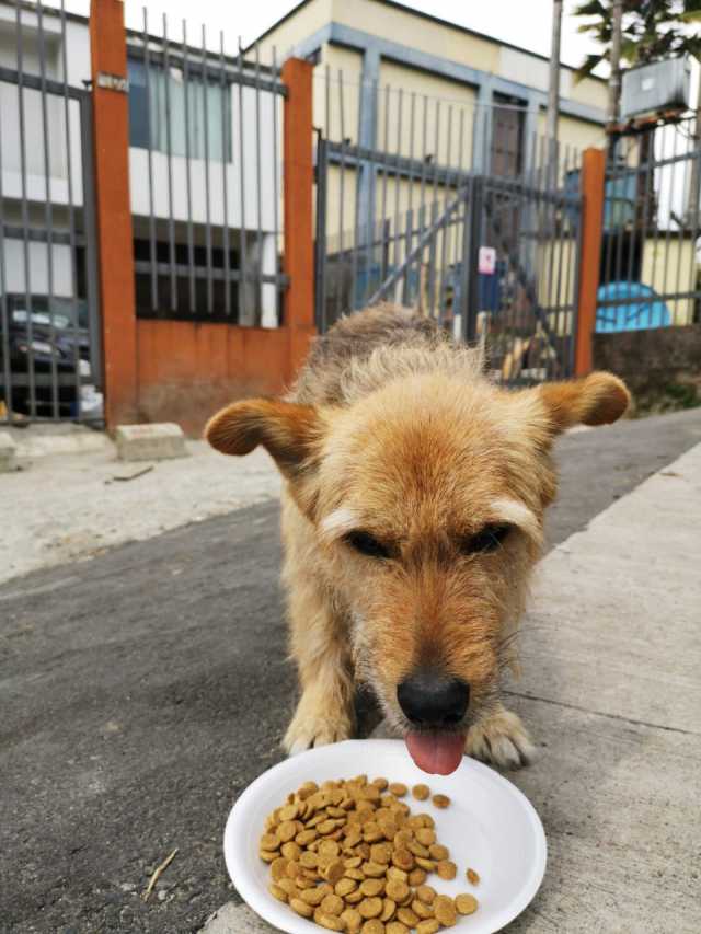 Foto | Cortesía | LA PATRIA