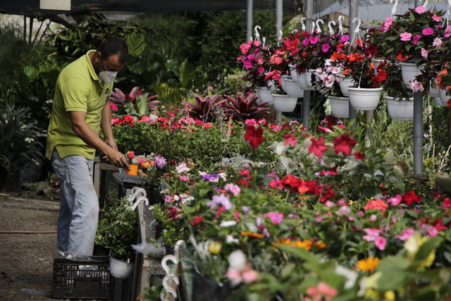 Vivero La Primavera