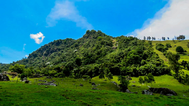 Segundo puesto en la categoría profesionales en el Primer Concurso de Fotografía Ambiental en Supía (Caldas) y Caramanta (Antioquia)