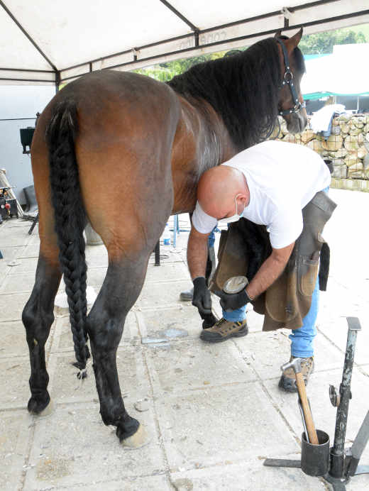 64 Feria Equina de Manizales 