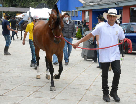 64 Feria Equina de Manizales 