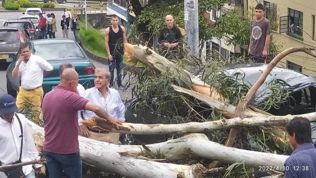 Árbol cayó sobre vehículos en el sector de Fundadores