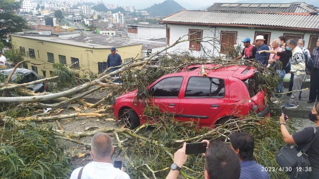 Árbol cayó sobre vehículos en el sector de Fundadores