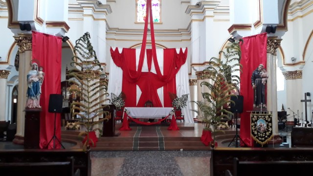 Así celebra el Domingo de Ramos en Caldas