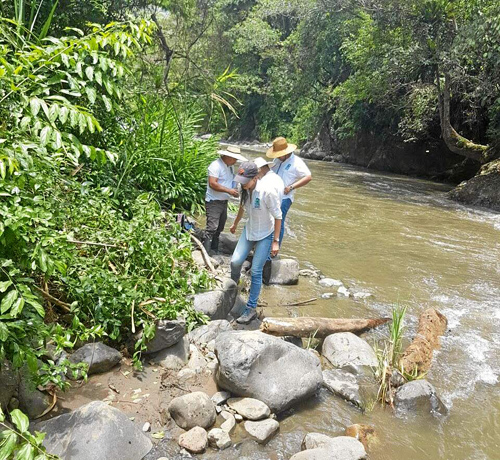 Funcionarios de la Corporación Autónoma Regional de Risaralda recorrieron la ribera del río Risaralda entre Anserma y Belén de U