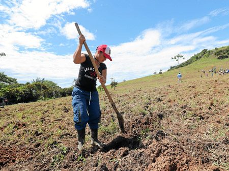 Las mujeres se dedican en Mesetas (Meta) a los cultivos de yuca. 