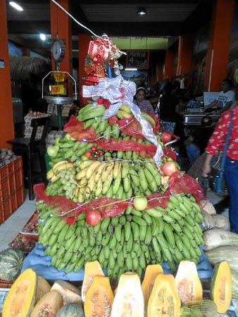 Árbol de frutas