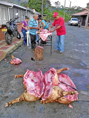  Está prohibido Foto | LA PATRIA Chinchiná. El concejal liberal Aureliano Valencia estuvo muy contento, celebró la Navidad con c