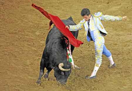 El torero colombiano Guillermo Valencia, lidia su toro Nativo de 464 kilogramos de la ganadería Las Ventas del Espíritu Santo. 