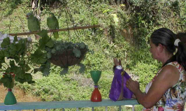 Aunque viven en el campo en medio de la naturaleza reciclan parte del ańo para proteger el medioambiente. Y contribuir con la Na