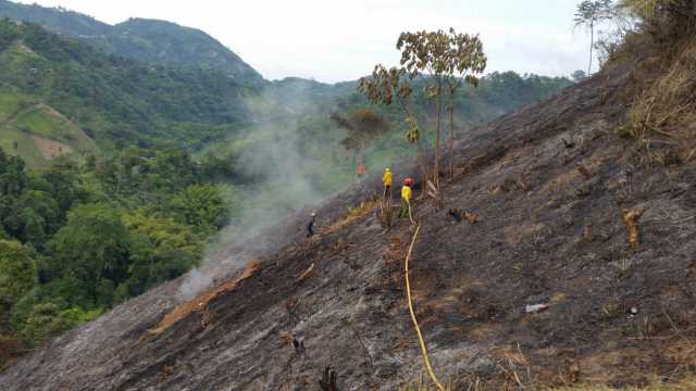 Vereda Baja Argelia