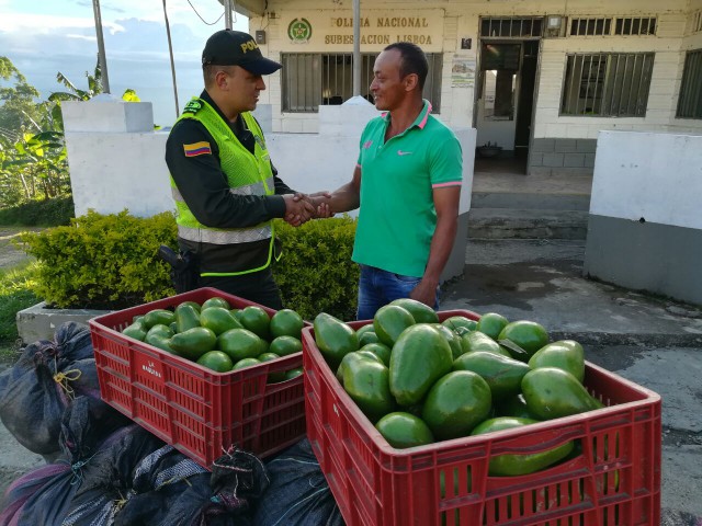 Recuperaron los aguacates