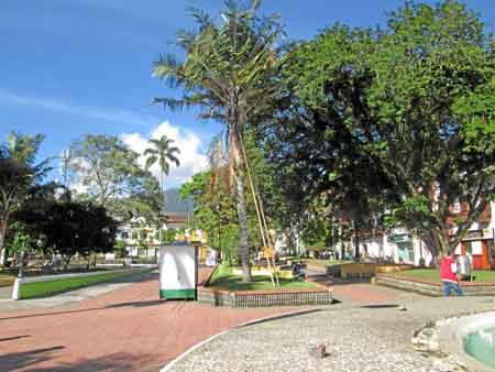 El chontaduro, en el parque