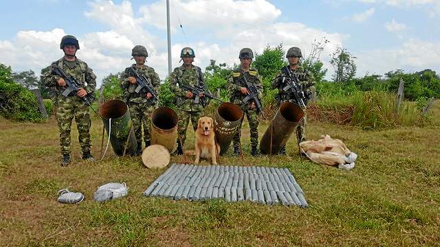 Las acciones militares del Gobierno de Santos no paran. En enero el Ejército destruyo un depósito ilegal de cilindros bombas y m