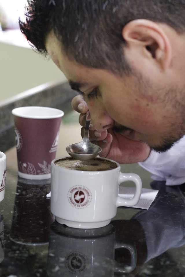 Para sensibilizar las papilas gustativas se hacen ejercicios con sabores dulces, salados, ácidos, amargos, agrios.