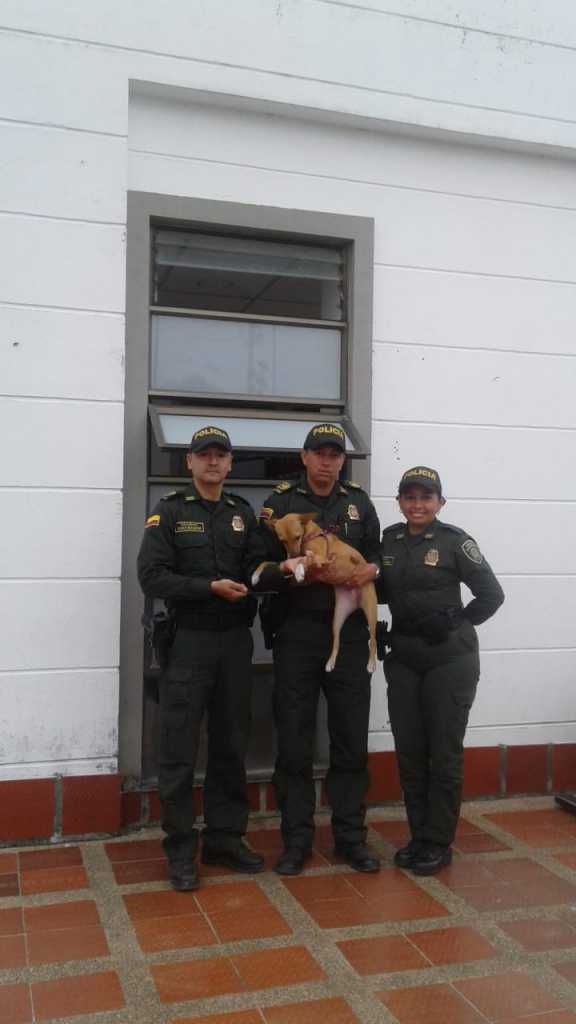Los tres integrantes de la Policía y Luz de Los Andes, la perra rescatada.