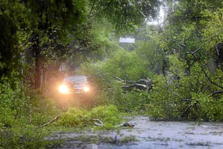 La caída de árboles, consecuencia del huracán, también impidió que los rescatistas llegaran oportunamente a donde se les requerí