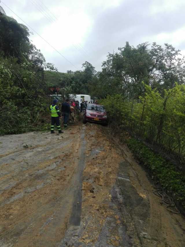 Foto | Cortesía| LA PATRIA
