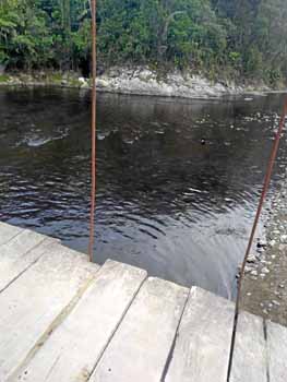 El crudo llegó al río Catatumbo por la quebrada La Llana.
