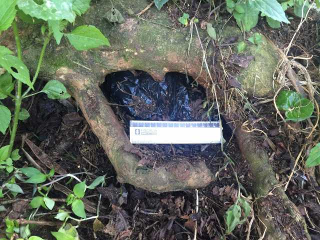 Las armas estaban encaletadas en un árbol, protegidas por un buso y entre una bolsa. Les harán peritaje.