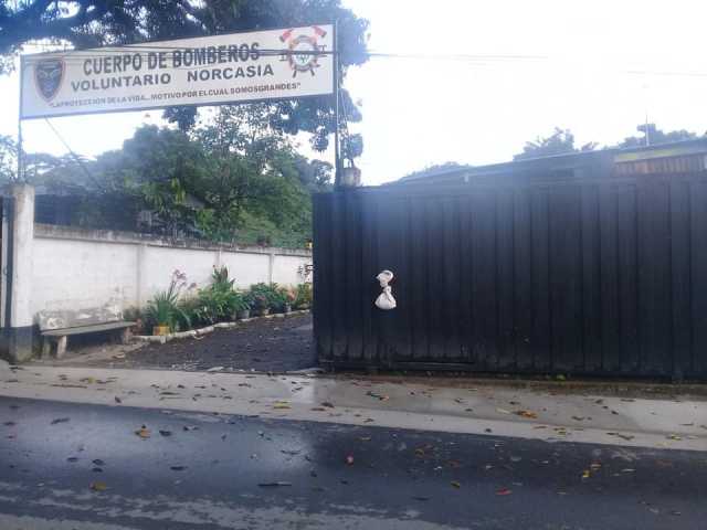 En Norcasia abandonaron los gatos dentro de un costal