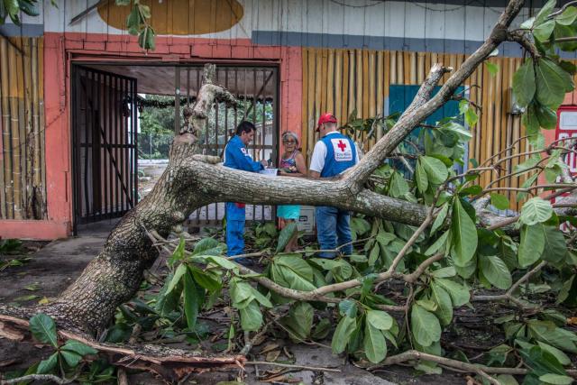Foto | Adolfo Cortés | LA PATRIA