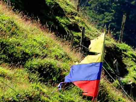 Bandera raída