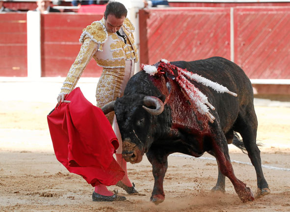 Los toros, de los hierros Ernesto Gutiérrez Arango y Juan Bernardo Caicedo, tuvieron juego desigual. El primero de la tarde fue 