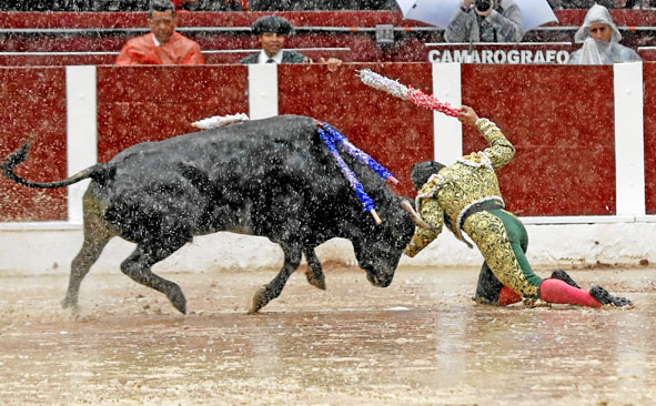 El novillero Manolo Castañeda fue embestido durante la suerte de las banderillas. 