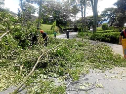 La noche del sábado llevó angustia a muchos chinchinenses, un aguacero acompañado de ráfagas de viento dañó techos, provocó inun