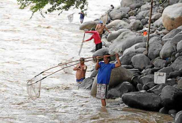 Pescadores tradicionales utilizan el cóngolo en su faena.