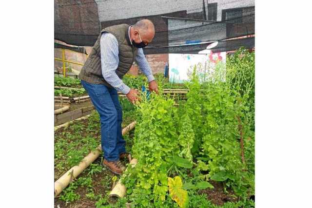 Fomento a la agricultura urbana