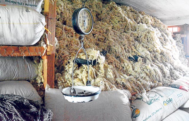 La lana llega en lotes que deben ser lavados. La materia prima se encuentra represada debido a que la maquinaria es obsoleta.