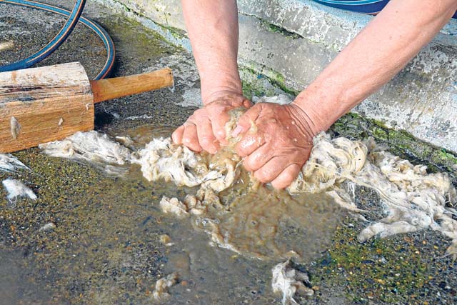 El lavado es manual y se realiza en un tanque con un mazo de madera.