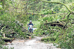 Los derrumbes por lluvias afectan de nuevo la vía Manizales-La Cabaña-Tres Puertas. 