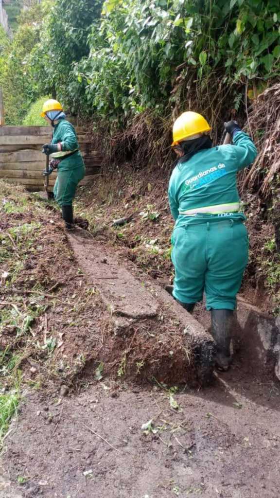 Programa de la Alcaldía de Manizales para realizar limpieza en las laderas de la ciudad.