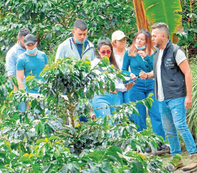 El tour del café, una aventura del grano a la taza