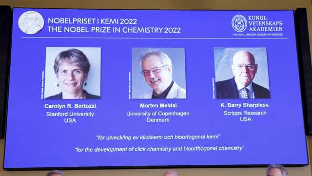 Nobel de Química por el desarrollo de herramienta para construir moléculas