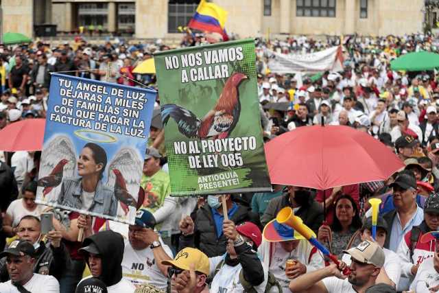 Galleros de varias ciudades del país se concentraron ayer durante una protesta contra la prohibición de peleas de gallos en la P