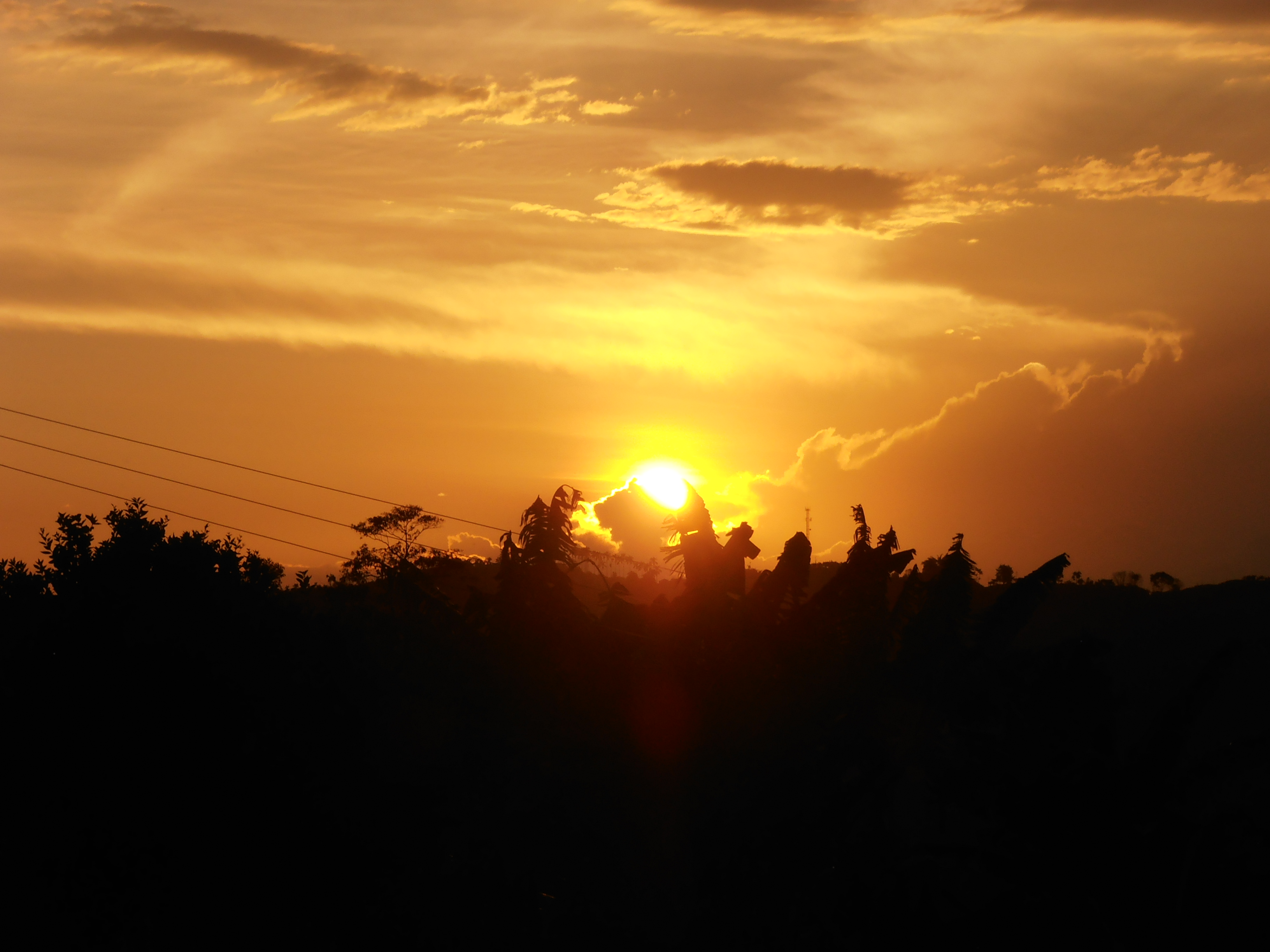 Atardecer en Palestina 