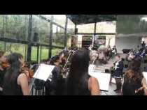 Quinto Festival La Música y la Naturaleza Manizales