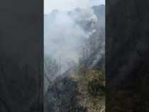 Controlan incendio forestal en la vereda En Medio de los Ríos (Salamina)