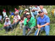 Plantan vida en vereda Cañaveral de Salamina (Caldas)