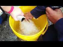 Suministro de agua en Villamaría, a cuenta gotas