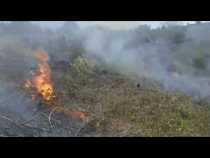 Controlan incendio en finca de Viterbo